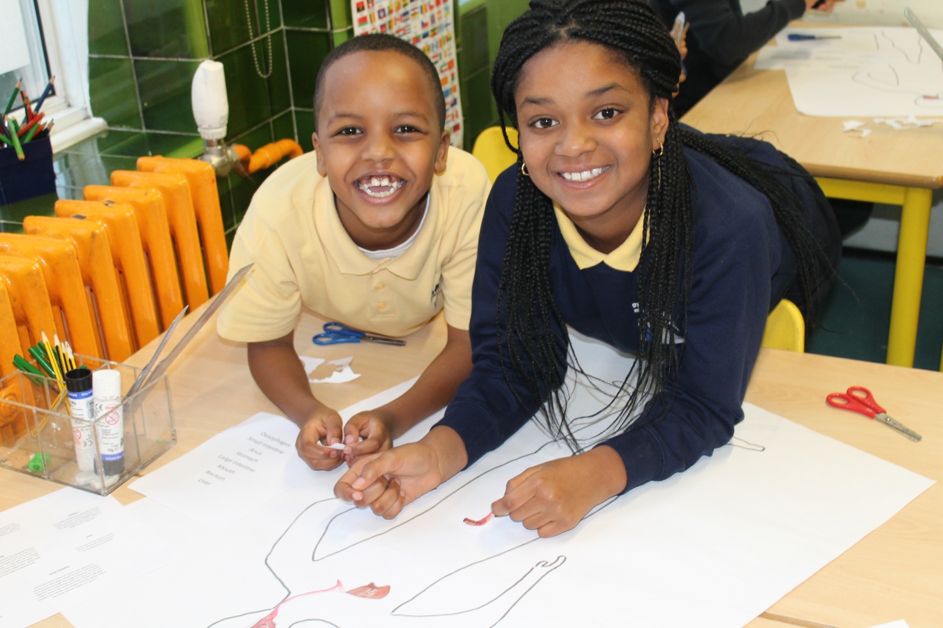 Digestive System - Brecknock Primary School